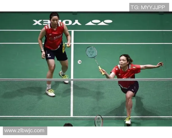 全国锦标赛分析：北京羽毛球队技术水平的全面评估与未来展望