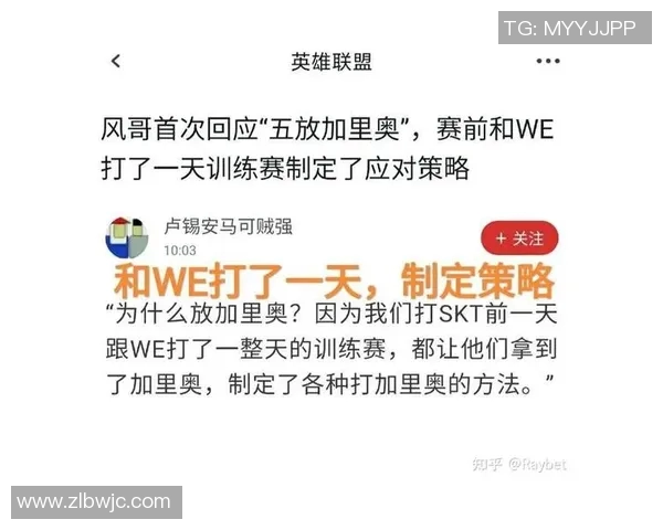 专业解析WE战队整体压制策略及其在比赛中的应用效果