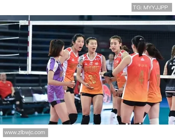 南京排球队灵活性排名第十解析全国排球灵活性排行榜背后的故事